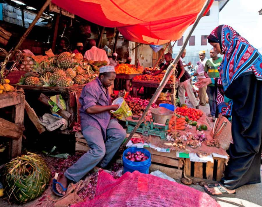 Zanzibar: Stone Town History Walking Tour with a Local Guide - Markets, craft stalls, and everyday Stone Town