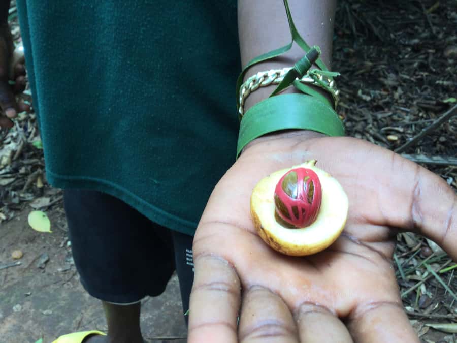 Zanzibar:Stone Town & Spice Farm Private Tour Lunch Included - What makes the private format worth paying for
