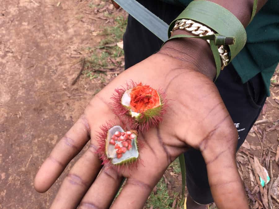 Zanzibar:Stone Town & Spice Farm Private Tour Lunch Included - Tropical fruit and a generous Swahili lunch