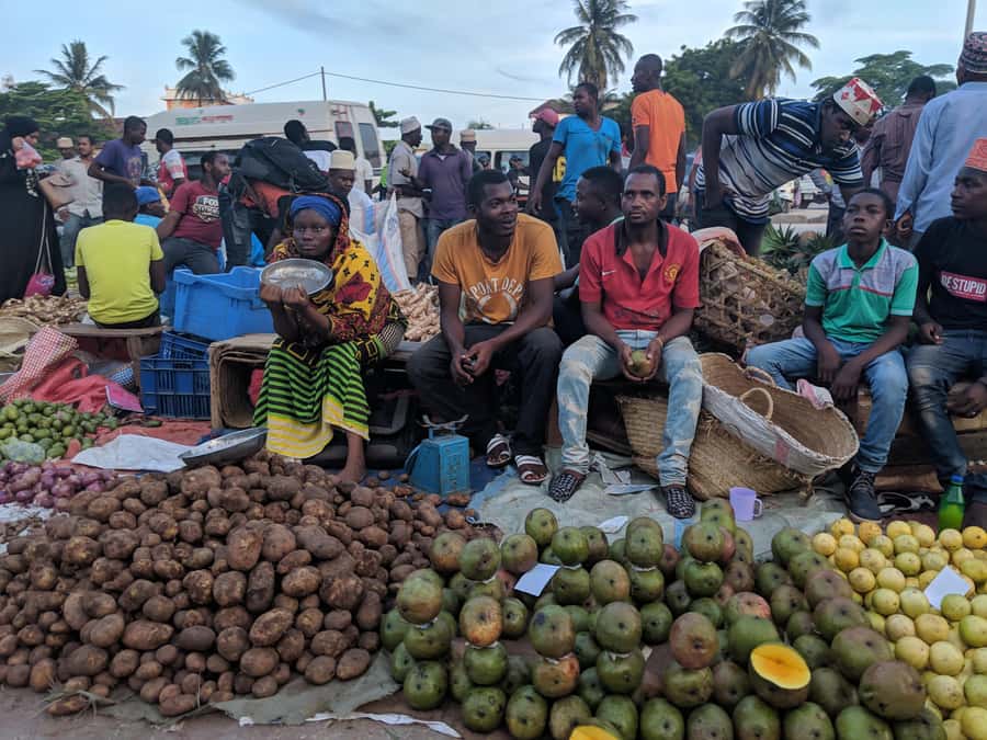 Zanzibar: Stone Town & Spice Farm Tour with Lunch - Beginning with Stone Town’s difficult past