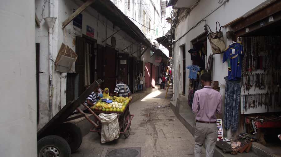 Zanzibar: Stone Town & Spice Farm Tour with Lunch - Seeing spices as living plants