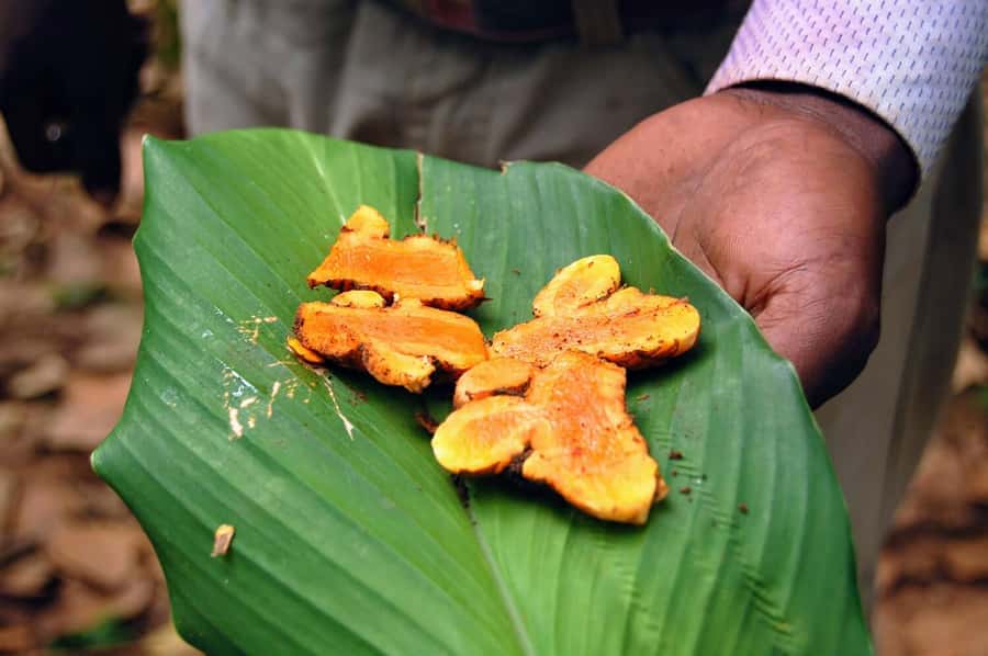 ZANZIBAR, Stone town tour, Prison Island & Spice farm - Guides can shape the whole day