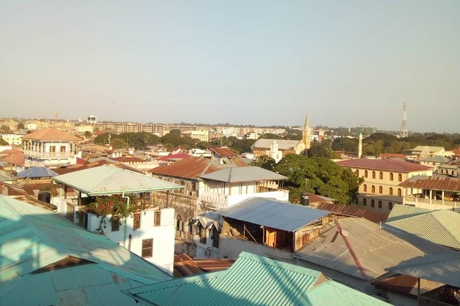 Zanzibar Stone Town Walking Tour - Why a guide helps in Stone Town