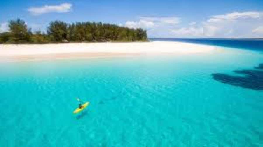Zanzibar: Stone Town Walking Tour with Freddie Mercury … - Who will enjoy this Stone Town walk?