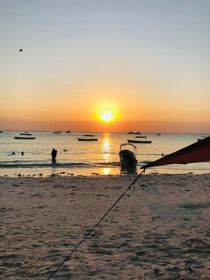Zanzibar: Sunset Dhow Cruise - Drums, singing, and the social side of the cruise