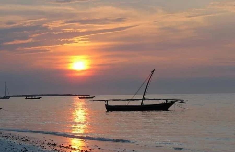Zanzibar: Sunset Dhow Cruise in Stone town - The guide’s role, from landmarks to daily life