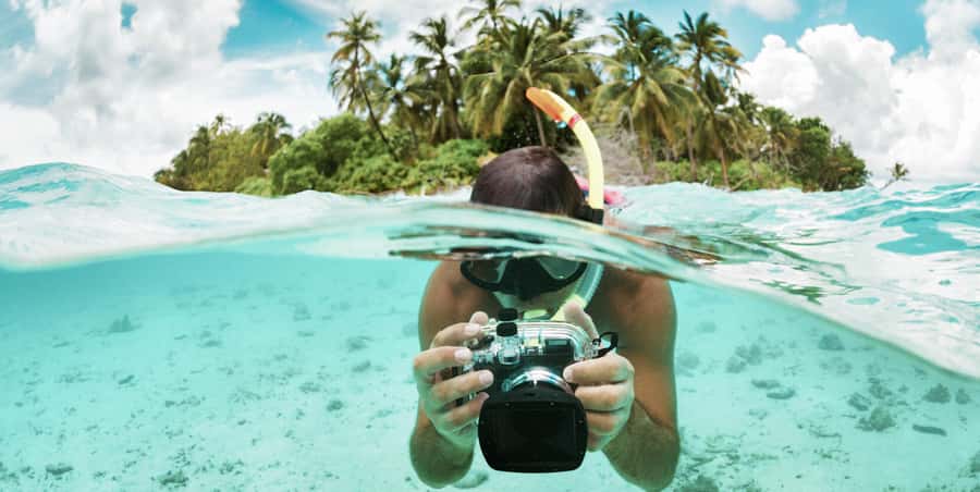 Zanzibar : Swim with dolphin + Snorkel mnemba coral Reef - Mnemba Atoll is the reason to go