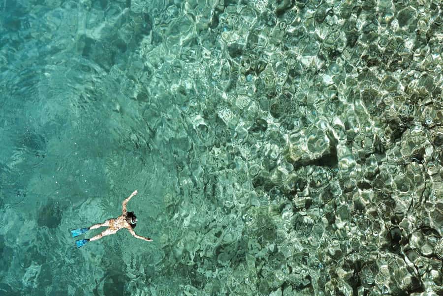 Zanzibar : Swim with dolphin + Snorkel mnemba coral Reef - Dolphin watching requires a clear conscience