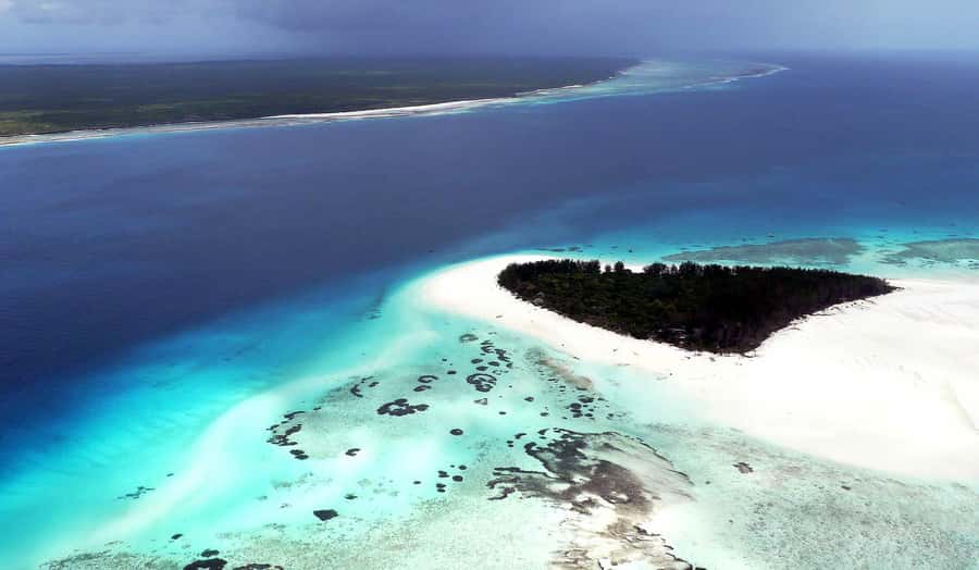 Zanzibar : Swim with dolphin + Snorkel mnemba coral Reef - Problems to consider before you reserve