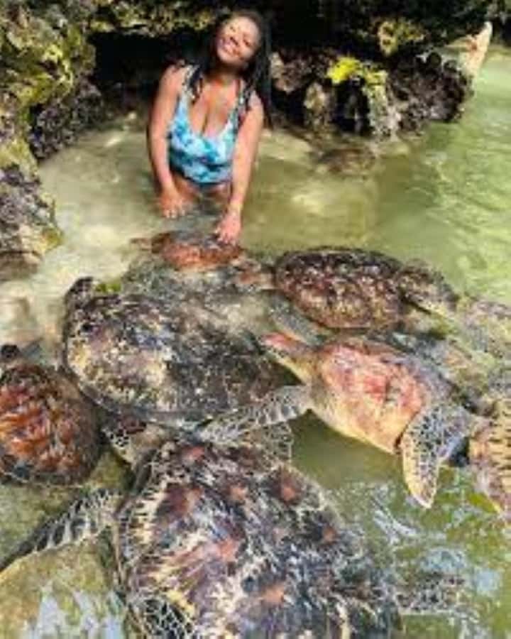Zanzibar: Swim with Sea Turtles at Baraka or Salaam Aquarium - The guide makes a real difference