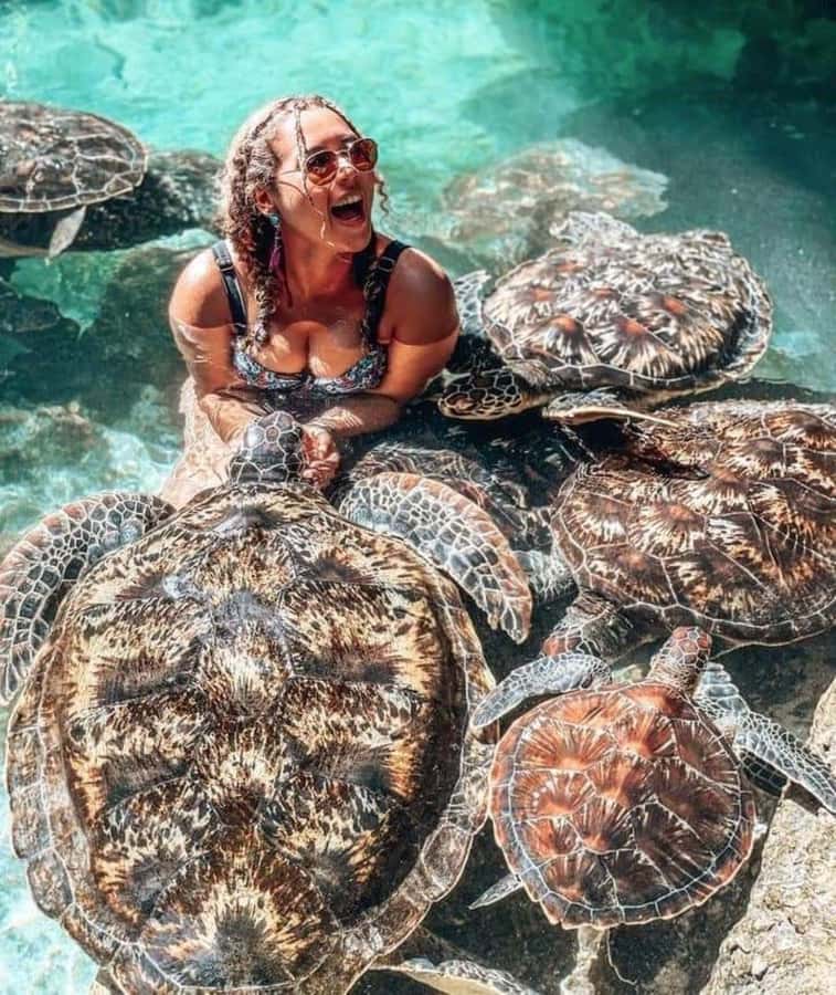 Zanzibar: Swim with turtles at Nungwi - Who will get the most from this outing?
