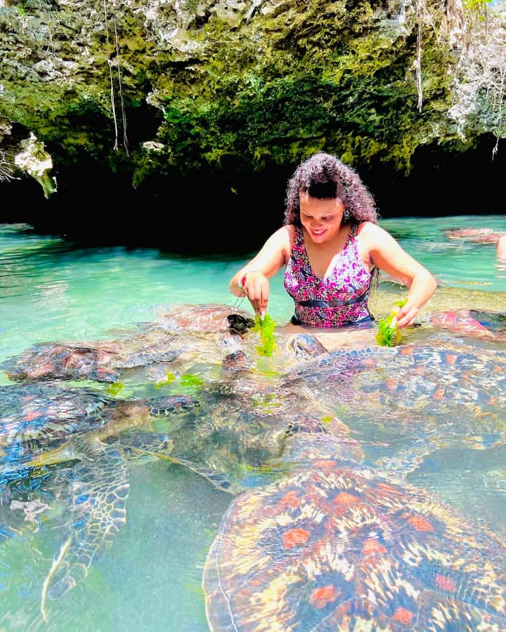 Zanzibar: Swim with Turtles Sanctuary Tour - Key points to know before you go