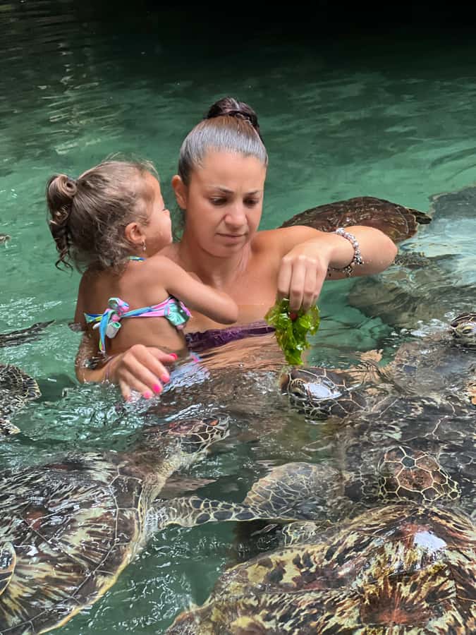 Zanzibar: Swim with Turtles Sanctuary Tour - Meeting the turtles at Baraka Aquarium Bungalows