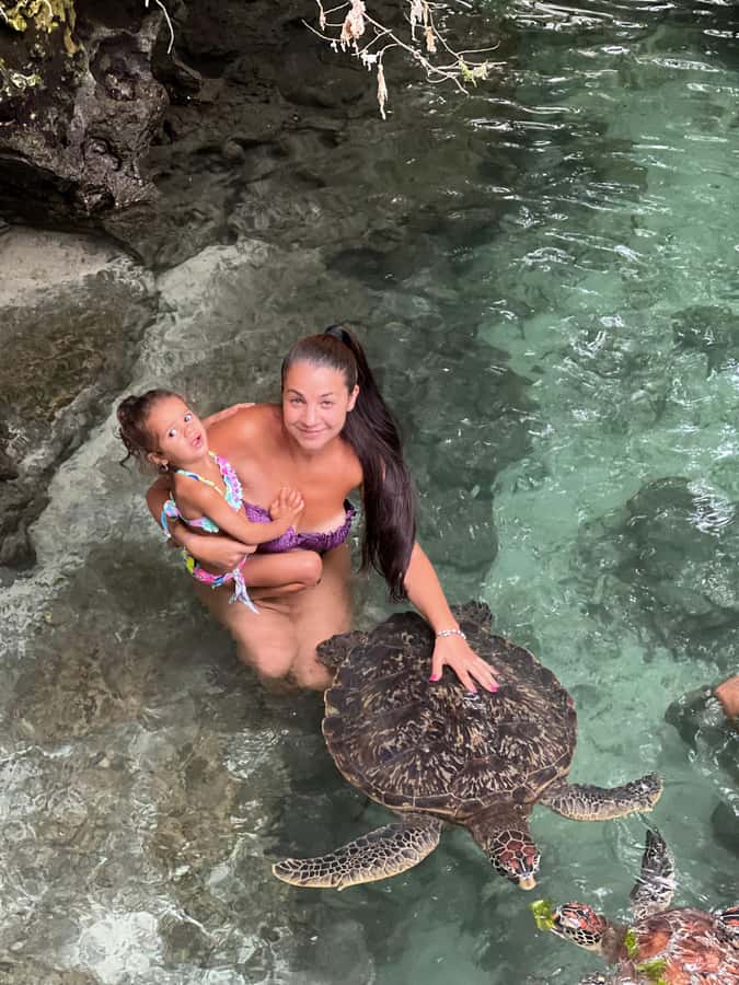 Zanzibar: Swim with Turtles Sanctuary Tour - The conservation story behind the swim