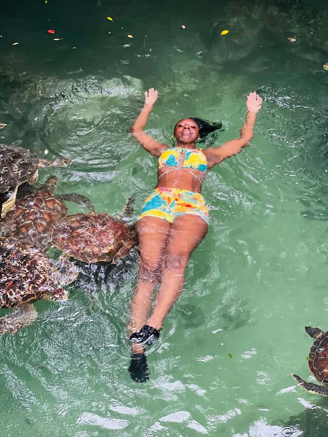 Zanzibar: Swim with Turtles Sanctuary Tour - What the price tells you about the experience