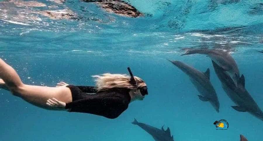 Zanzibar: Swimming & Snorkeling at Mnemba Atoll with Fruits - Snorkeling around Mnemba Atoll