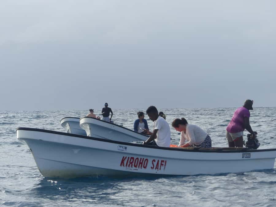 Zanzibar: Swimming with Dolphins and Snorkeling Private Tour - Practical advice before you leave