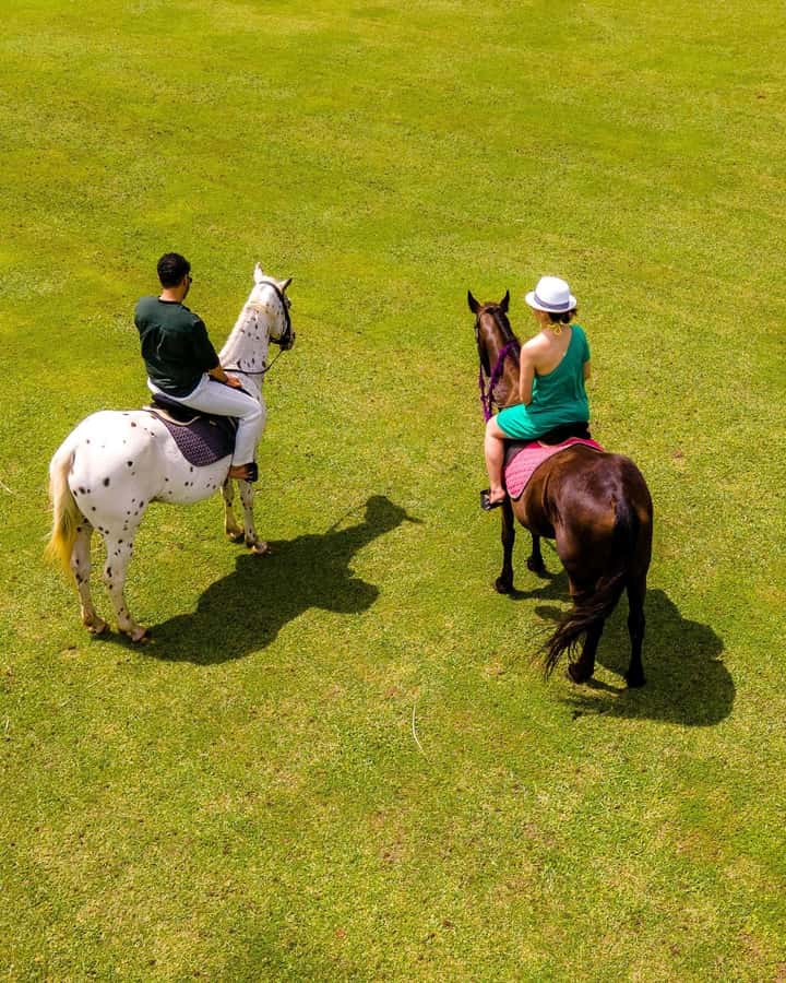Zanzibar: Swimming With Horse and Clear Kayaking Tour - Key points to know before booking