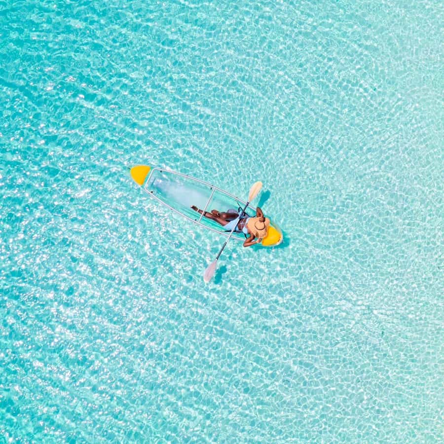 Zanzibar: Swimming With Horse and Clear Kayaking Tour - What the six-hour day looks like