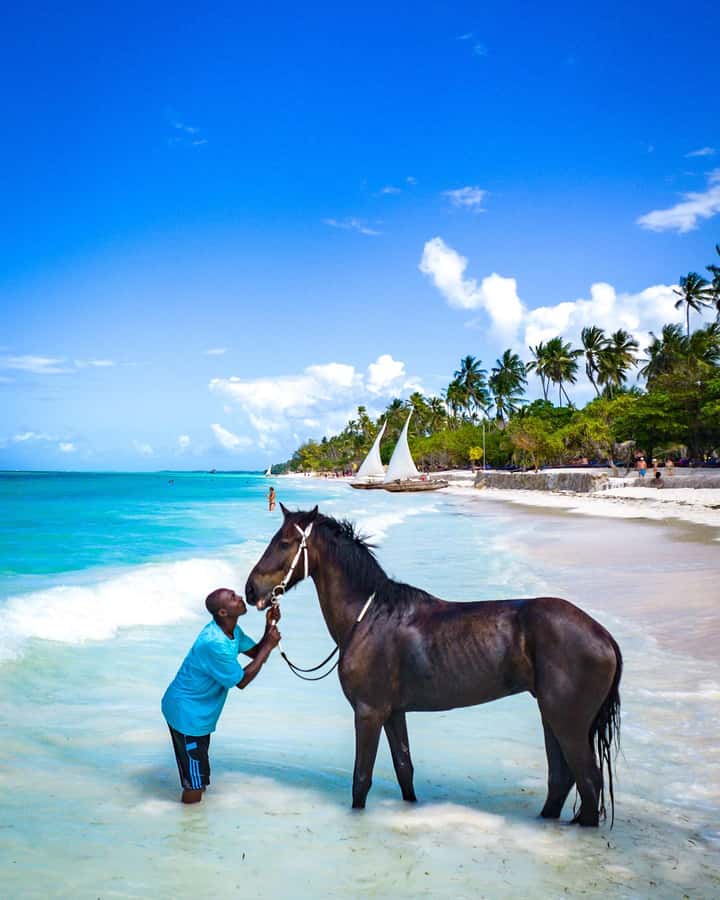 Zanzibar: Swimming With Horse and Clear Kayaking Tour - Extra water sports at Kendwa