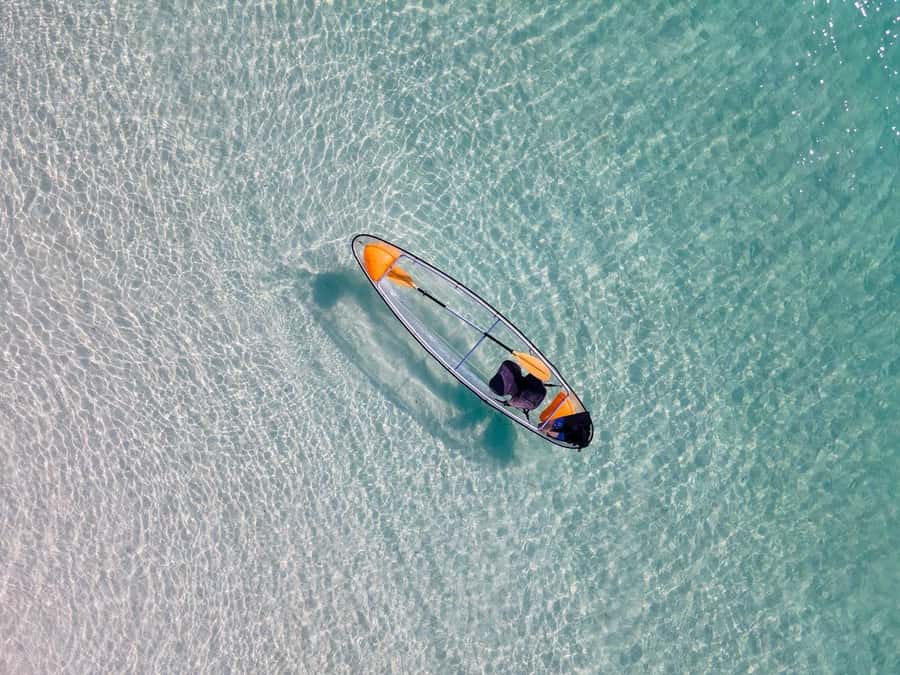 Zanzibar: Swimming With Horse and Clear Kayaking Tour - What to pack and how to prepare