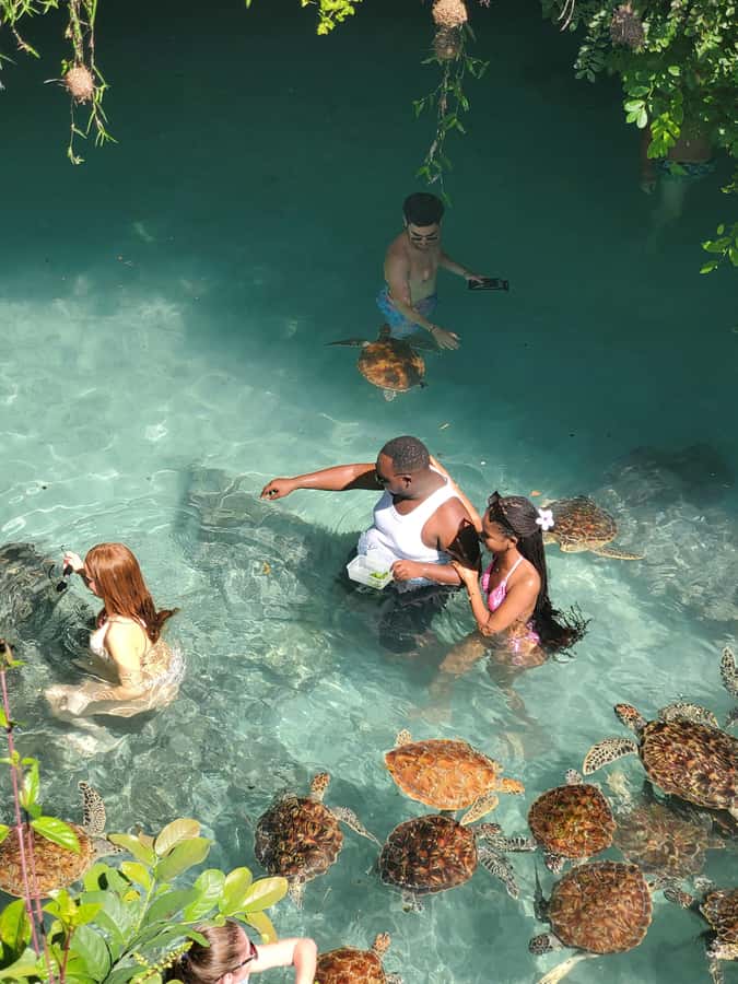 Zanzibar: Swimming with Sea turtles at Salaam cave - Why the conservation lesson adds value