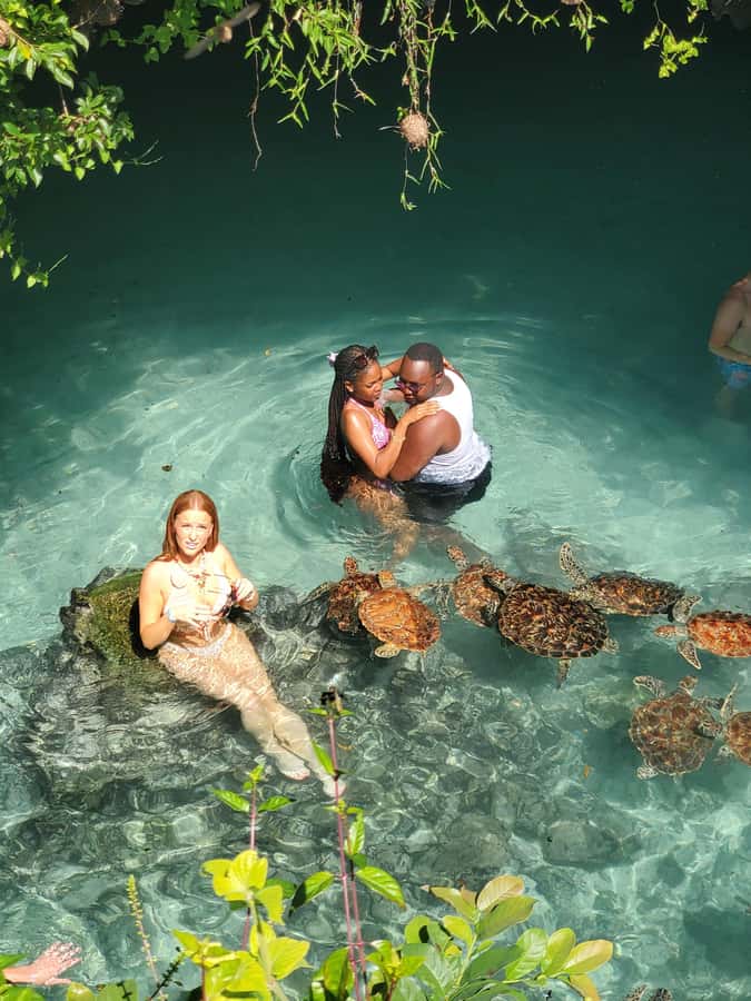 Zanzibar: Swimming with Sea turtles at Salaam cave - Practical limits you should keep in mind