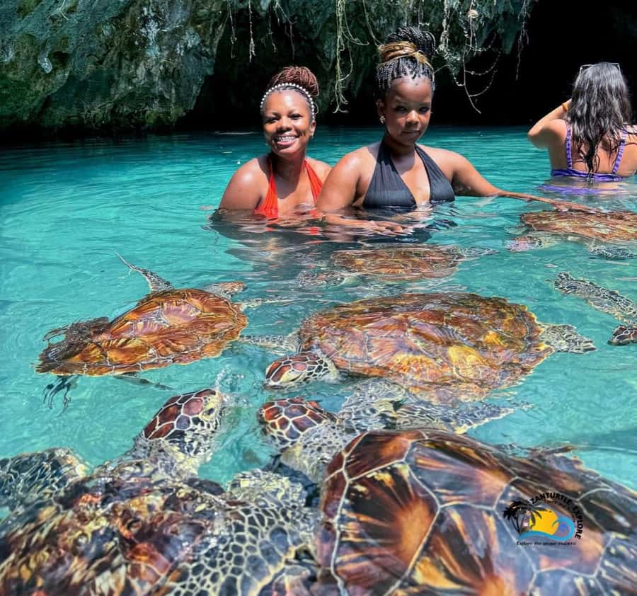 Zanzibar: Swimming with Turtles at Salaam Cave Aquarium - Meeting Zanzibar’s turtles at Salaam Cave