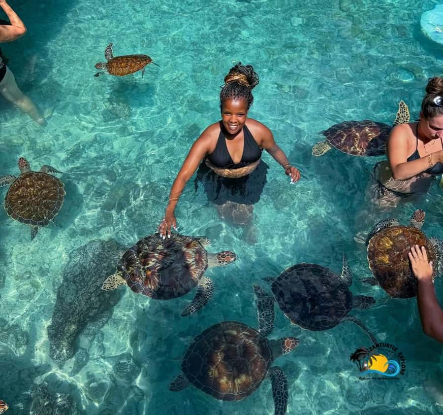 Zanzibar: Swimming with Turtles at Salaam Cave Aquarium - The one-hour ride from your hotel