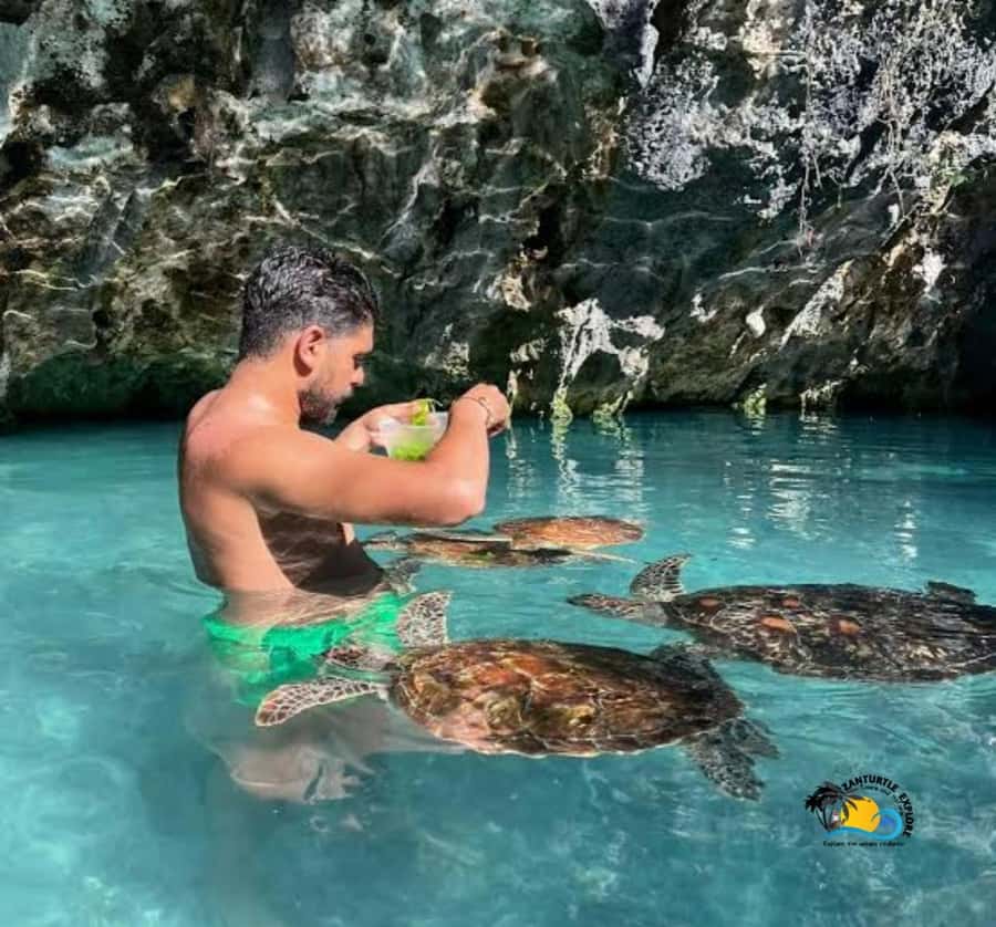 Zanzibar: Swimming with Turtles at Salaam Cave Aquarium - Swimming, feeding, and seeing the turtles up close