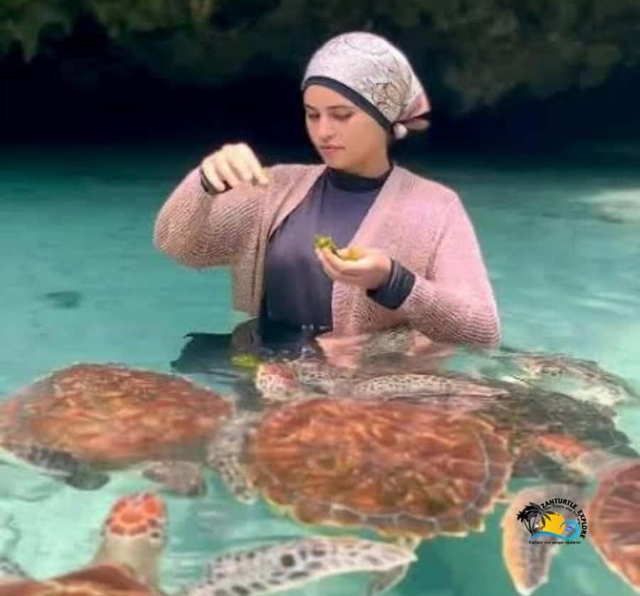 Zanzibar: Swimming with Turtles at Salaam Cave Aquarium - What the $56 price covers