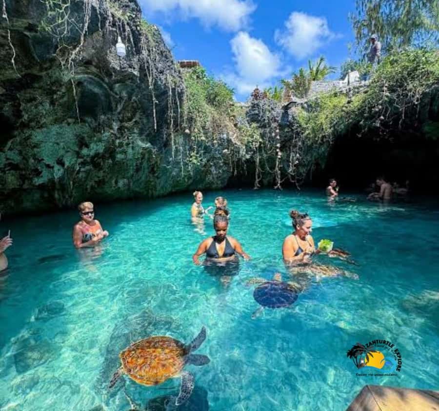 Zanzibar: Swimming with Turtles at Salaam Cave Aquarium - Who will enjoy this activity most