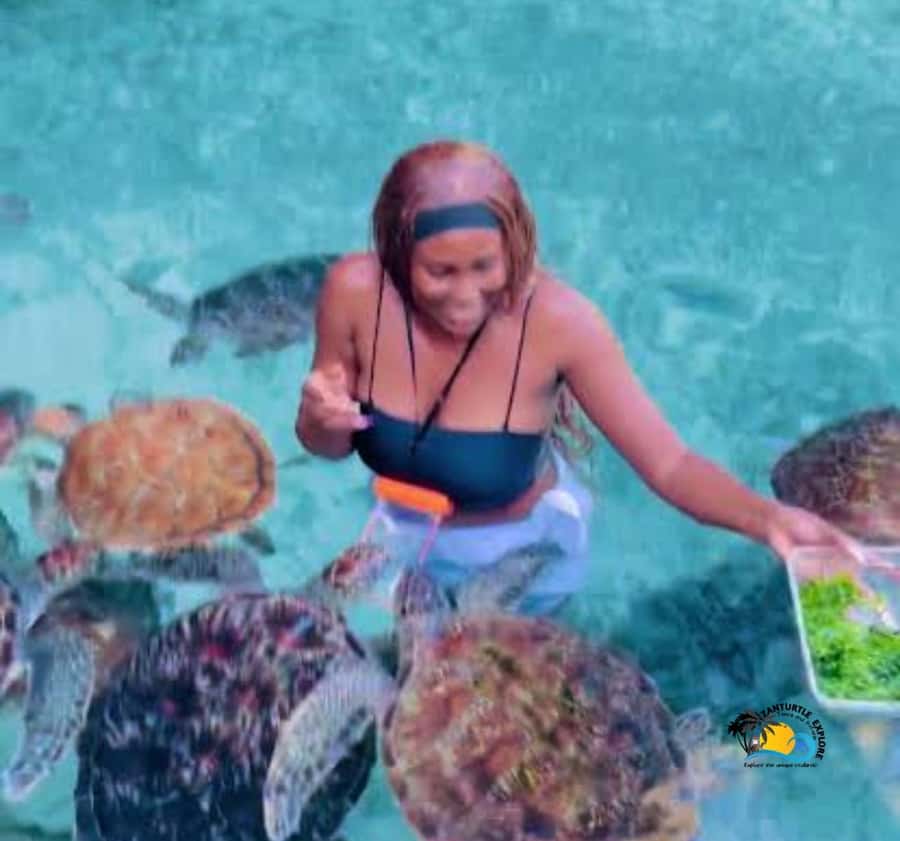 Zanzibar: Swimming with Turtles at Salaam Cave Aquarium - My final call on Salaam Cave