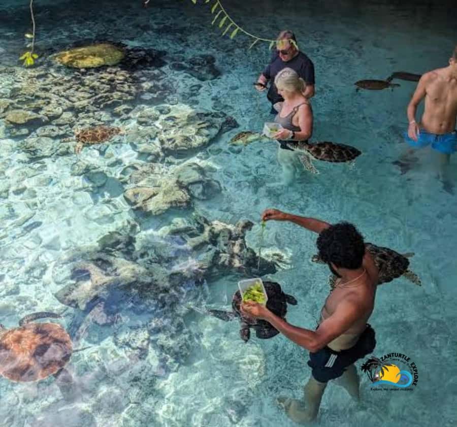 Zanzibar: Swimming with Turtles at Salaam Cave Aquarium - Inside the cave aquarium