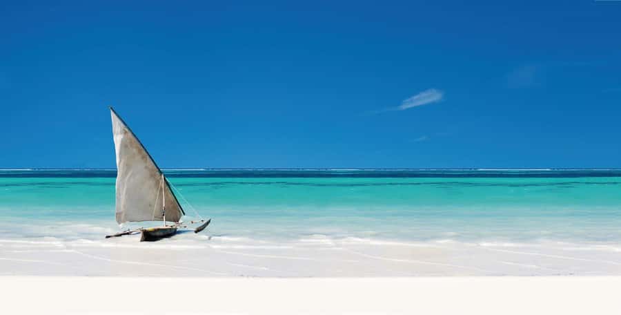 Zanzibar: The Rock, Paje Beach, Jozani Forest, Salaam Cave - Salaam Cave and swimming with turtles