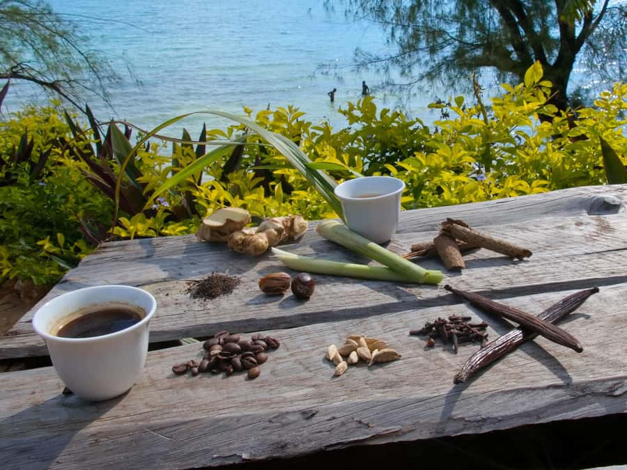 Zanzibar: The Swahili Spice Experience - Spice Tour + Culinary Journey - Key points at a glance
