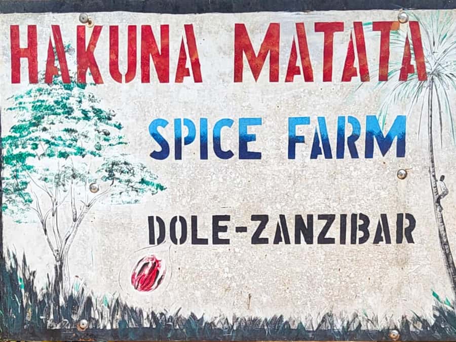 Zanzibar: The Swahili Spice Experience - Spice Tour + Culinary Journey - Kalimati, spice tea, and the optional cocktail