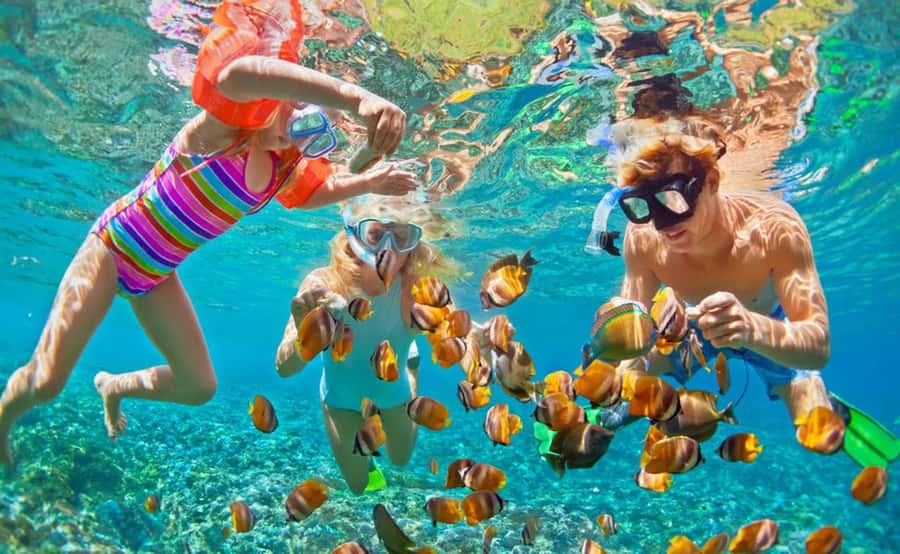 Zanzibar: Tour to Prison Island and Nakupenda sandbank with lunch - From Livingstone Beach Restaurant to Changuu Island