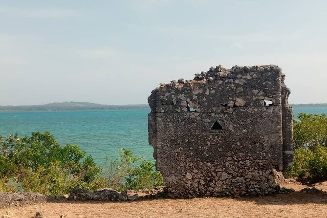 Zanzibar Tumbatu Island Cultural Experience - Baobab trees that once served as a classroom