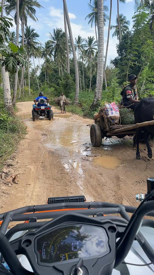 Zanzibar: Zenji ATV Tour - The dam, rice fields, sugar cane, and fish market